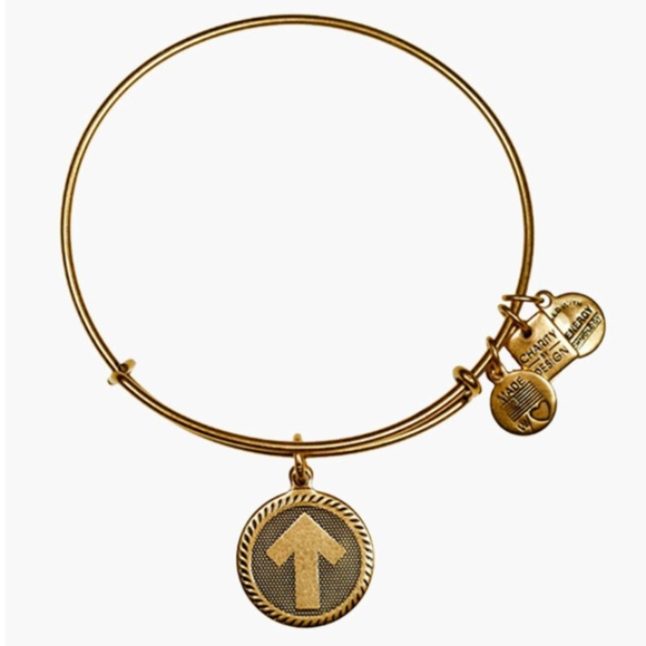 NWT Alex and Ani Stand Up To Cancer Gold Bangle Bracelet - Picture 1 of 3